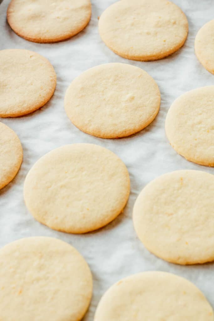 Round baked sugar cookies on a baking sheet. 