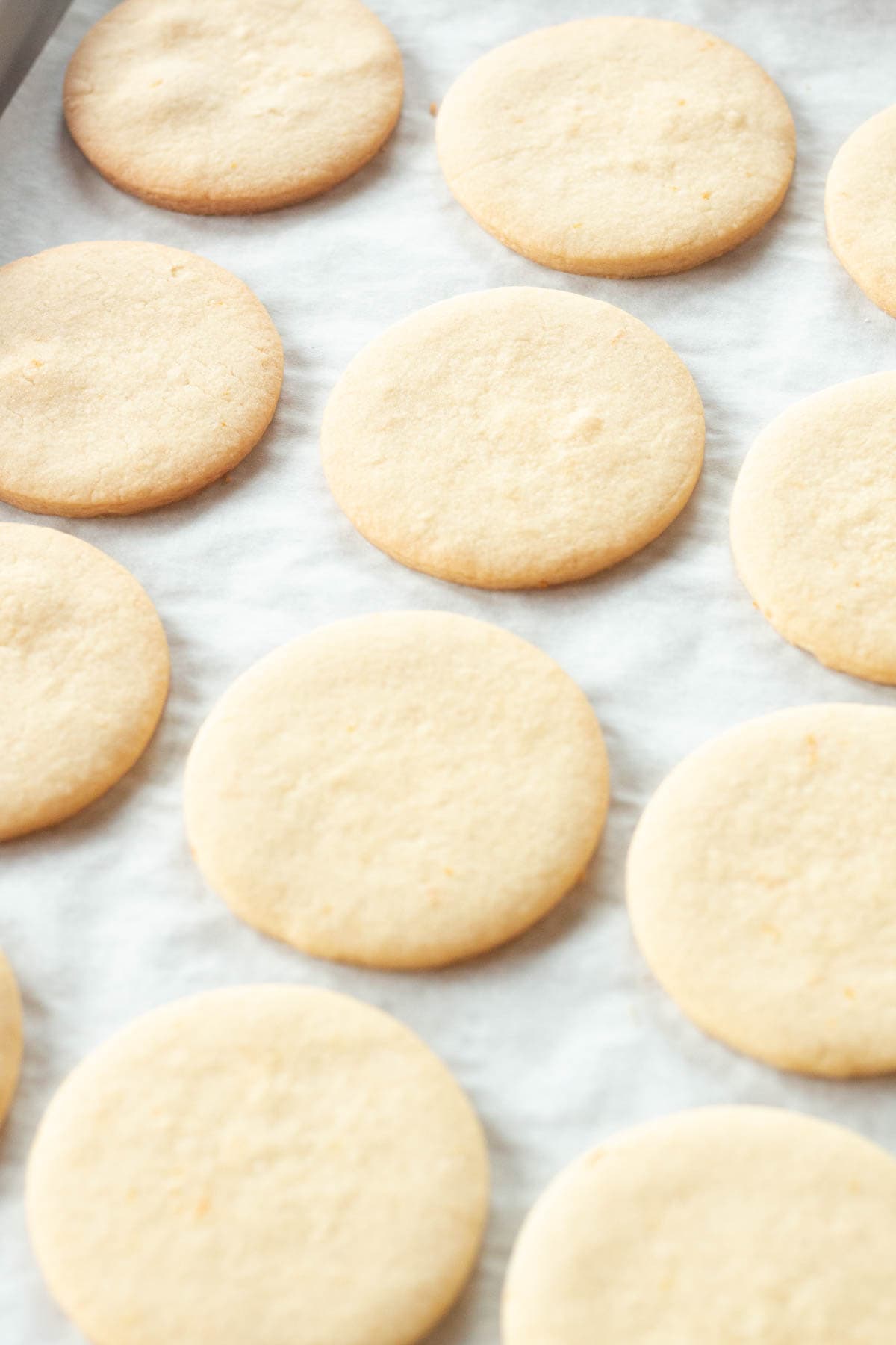 Baked sugar cookie rounds. 