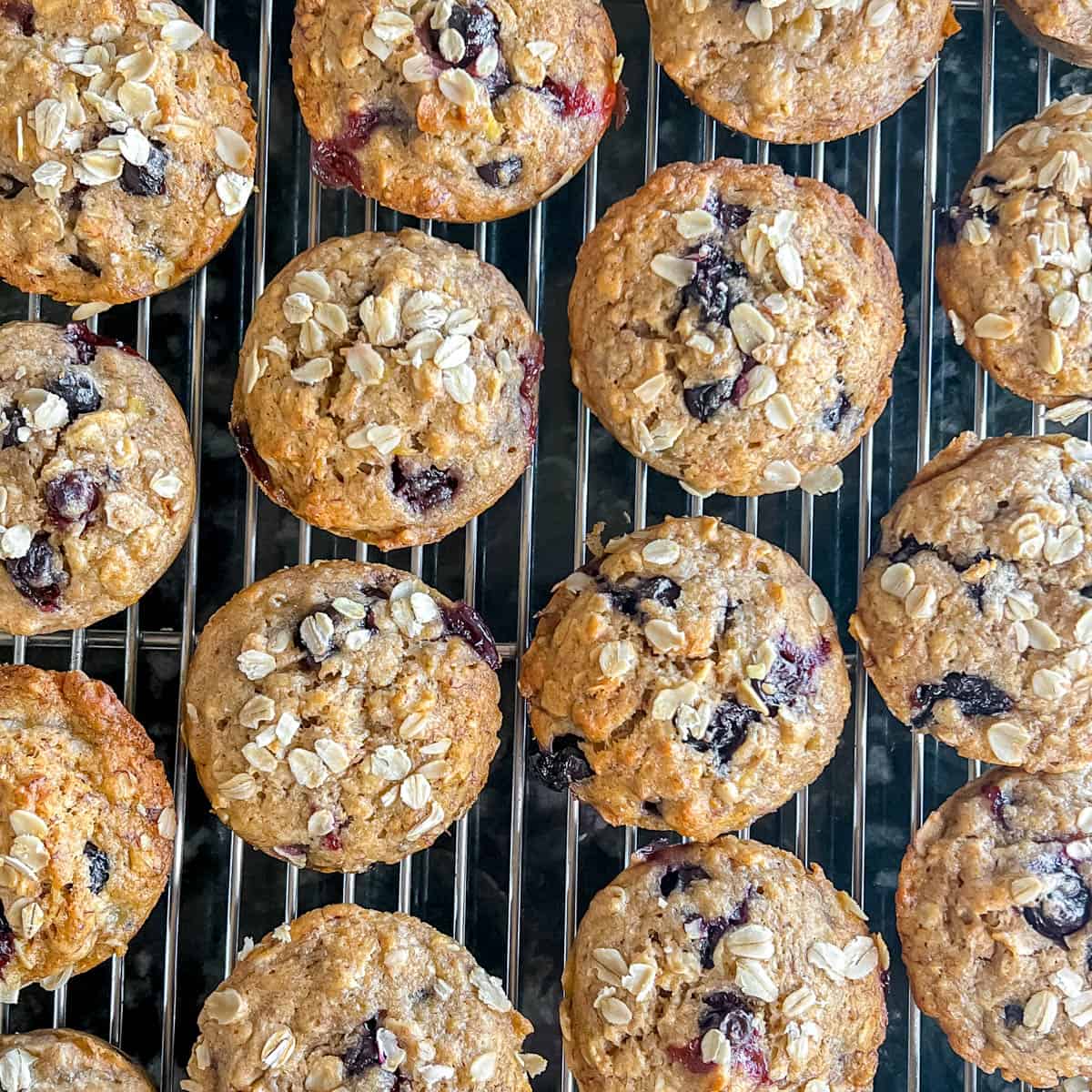 Whole Wheat Blueberry Banana Muffins