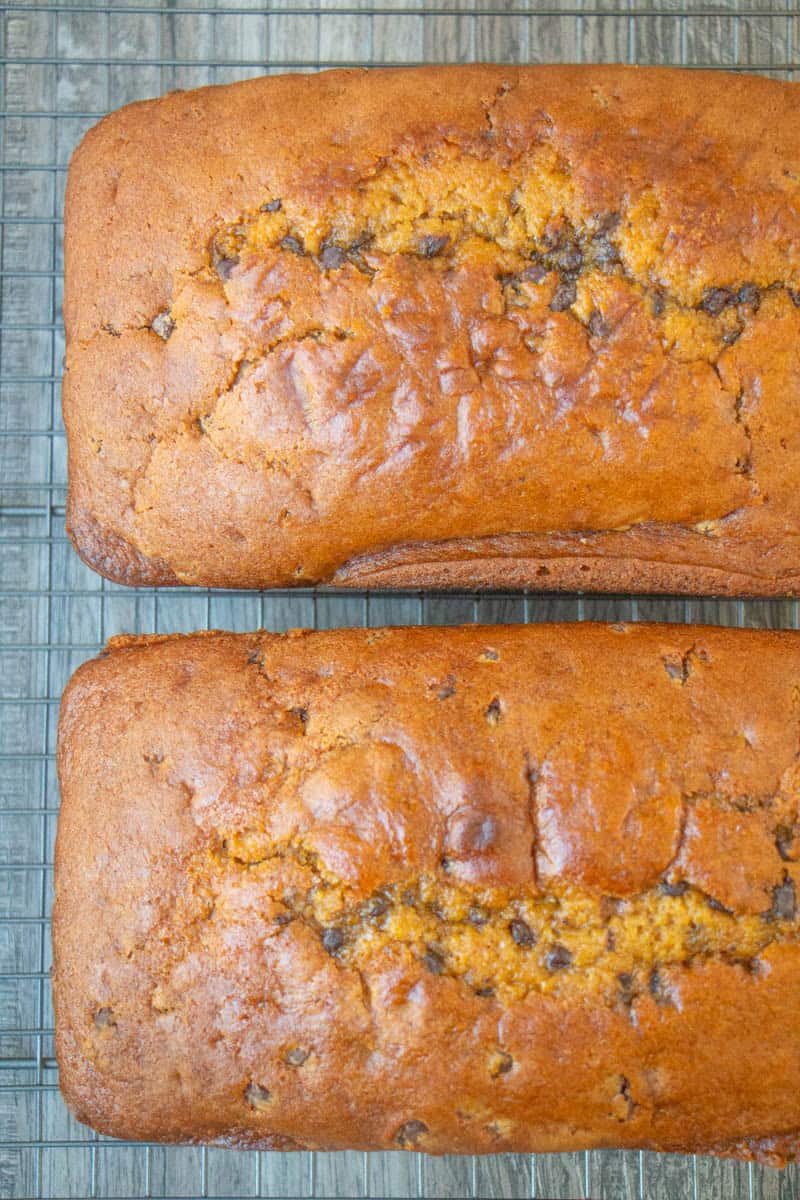 Loaves of pumpkin chocolate chip bread. 