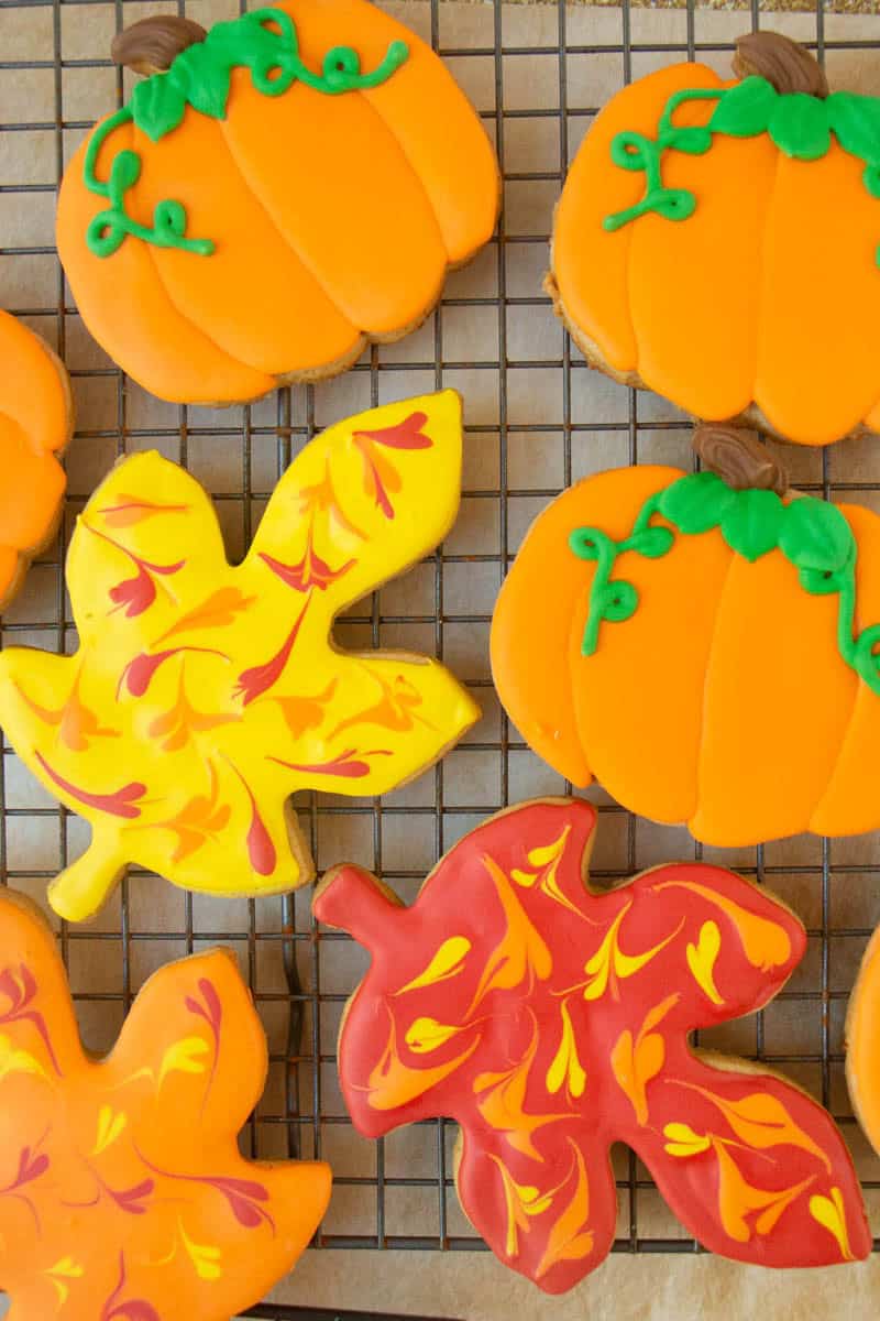 Decorated pumpkin sugar cookies in fall shapes. 