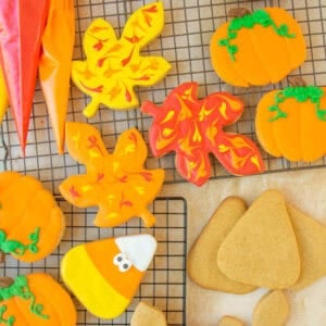 Fall cookies decorated with royal icing.